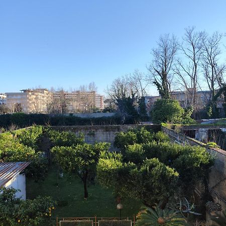 Villa Mafalda B&B 弗拉塔马焦雷 外观 照片
