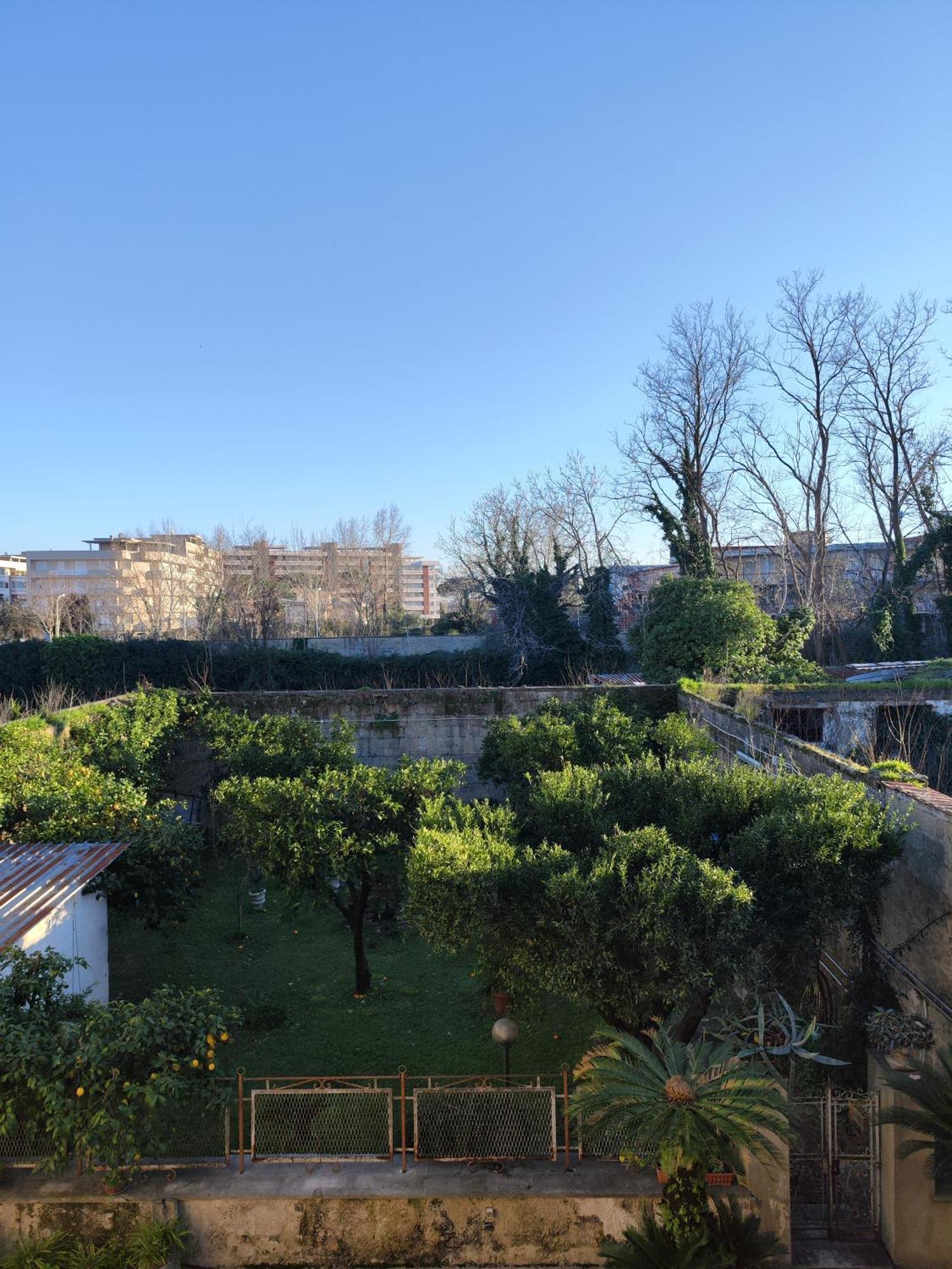 Villa Mafalda B&B 弗拉塔马焦雷 外观 照片